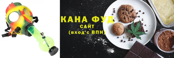 хмурый Арсеньев