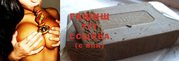 хмурый Арсеньев