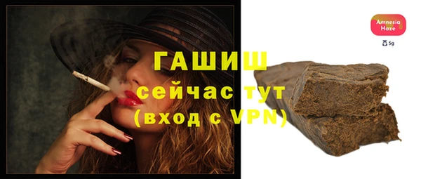хмурый Арсеньев