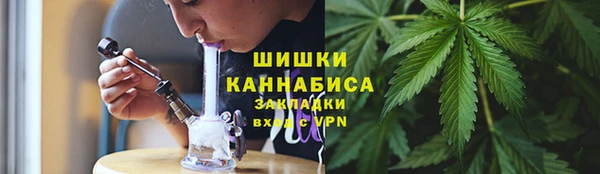 хмурый Арсеньев