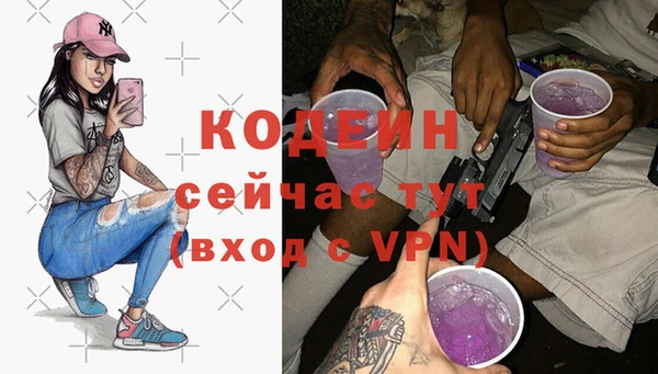 стаф Верея