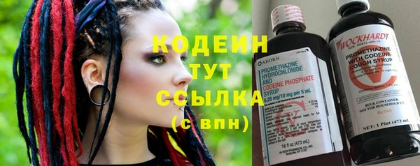 хмурый Арсеньев