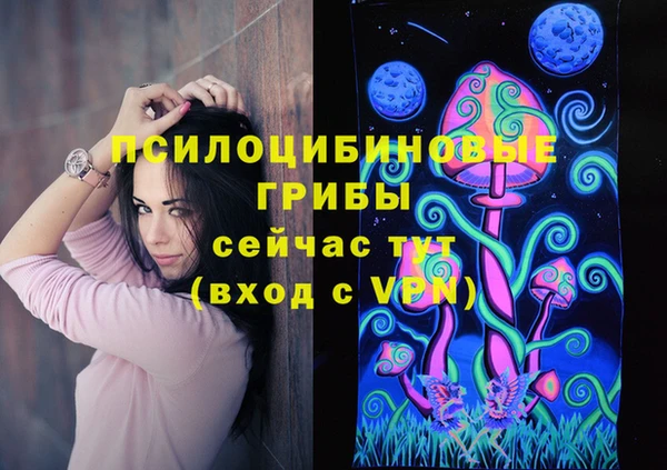 хмурый Арсеньев